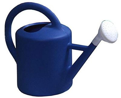 PASCOR Arrosoir 12 l