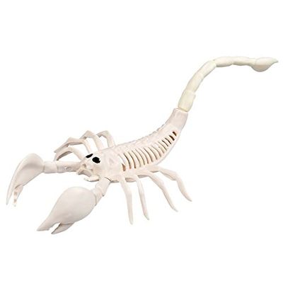 Boland 72401 Schorpioen-skelet, maat 31 cm, dummy van kunststof, decoratie voor Halloween, carnaval of themafeest