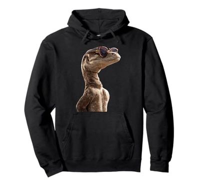 Lizard Reptiles Komodo Banded Dragon Water Monitor Lizard Pullover Hoodie