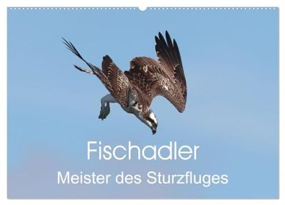 Fischadler - Meister des Sturzfluges (Wandkalender 2025 DIN A2 quer), CALVENDO Monatskalender: Flugstudien vom Fischadler beim Beutefang