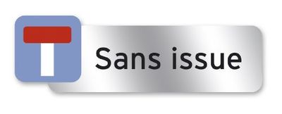 Symbol PSC15 Plaque polycarbonate adhésive 160 x 50 mm Sans issue