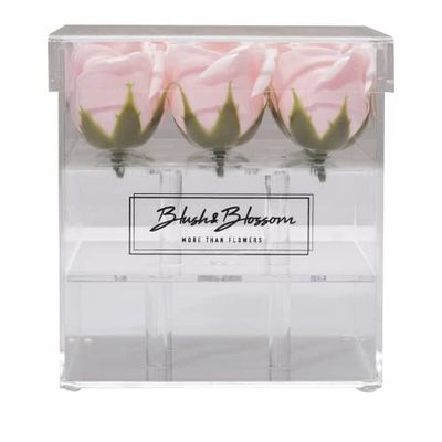 Blush & Blossom Rose Fleurs 9-Pièce dans Dégager Boîte, Blush