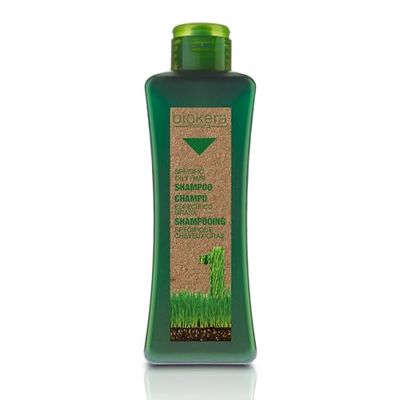 Salerm cosmetics Shampoo Specific Grease – 300 ml