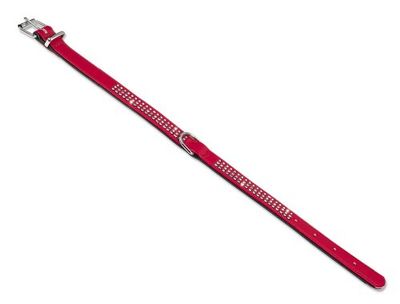 Nobby Crystal Collier pour Chien