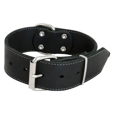 Jack and Vanilla - Brede halsband voor honden van vet leer - voor middelgrote en grote honden - Robuust, duurzaam, zacht aanvoelend, moderne look, zwart, afmetingen 40 mm x 50 cm