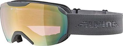 ALPINA Unisexe - Adultes, PHEOS S QV Lunettes de ski, grey, One Size