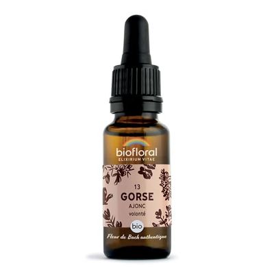 BIOFLORAL 13 Gorse, Ajonc Compte Gouttes Bio Demeter 20 Ml Fleur De Bach