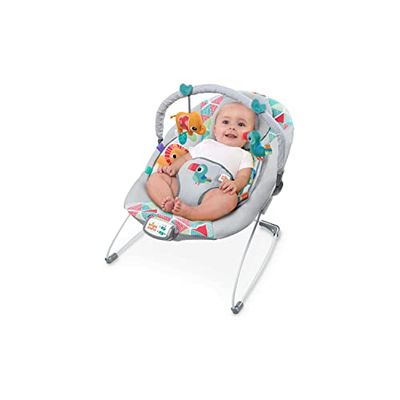 Bright Starts Rede de rede, Toucan Tango, 1 unidade (embalagem de 1)