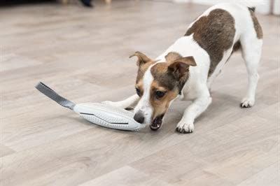Trixie Bastone da spuntino su una cinghia, variari, 20 cm/31 cm