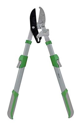 Ribimex PRCBTC98/E Troncarami Demoltiplicazione, 98 cm, Verde/Grigio