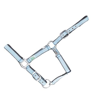 USG 15050007 - Cavezza in argento, rivestimento morbido, azzurro/grigio, sangue caldo