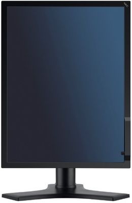 NEC MD213MC datorskärm 54,1 cm (21,3 tum) Full HD svart – datorskärmar (54,1 cm (21,3 tum), 2048 x 1536 pixlar, Full HD, LCD, 24 ms, svart)