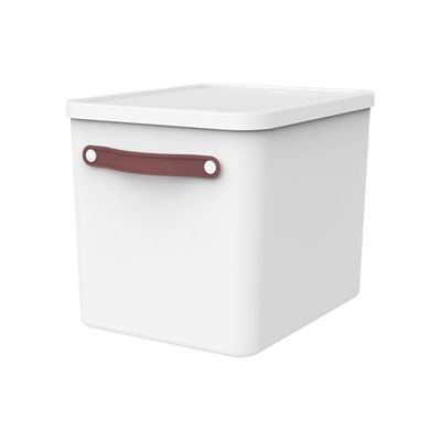 Rotho MyPaper Archive box document organiser. MY PAPER Plus, Plastic (PP) BPA-free, white/blue, (40.0 x 29.2 x 29.8 cm)