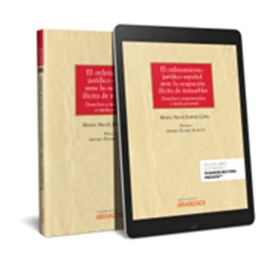 El ordenamiento jurídico español ante la ocupación ilícita de inmuebles (Papel + e-book): Derechos comprometidos y tutela procesal