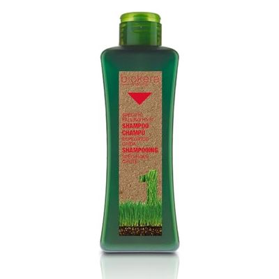 Salerm Cosmetics Biokera Natura Shampoo Specifico Caduta - 300 ml