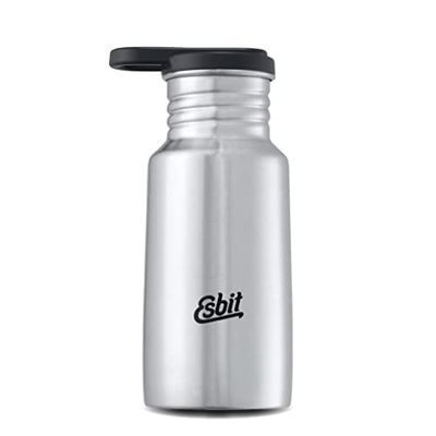 Esbit Drinkfles Pictor - roestvrij stalen drinkfles met praktische lussluiting - 350 ml in roestvrij staal