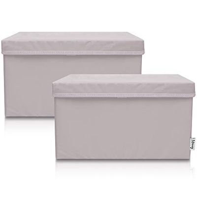 LIFENEY Lot de 2 boîtes de rangement pour enfants (37 x 25 x 21 cm) I Panier de rangement pour chambre d'enfant et salon I Boîtes de rangement pour enfants (gris clair)
