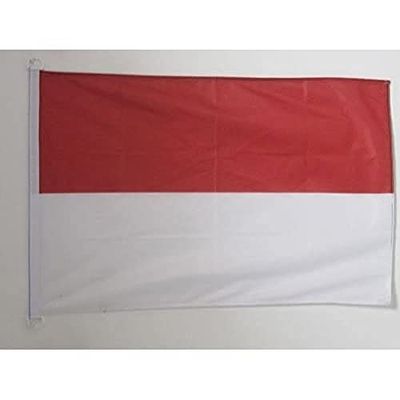 AZ Flag Banda, multicolor