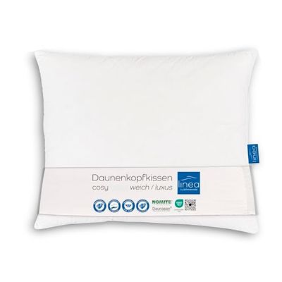 Böhmerwald Exclusief hoofdkussen met drie kamers, buitenkant: 90% dons / 10% veren, binnenkant: 100% veren, vulgewicht: 800 + 200 g, steuncomfort: zacht, 70 x 90 cm, 1 stuk (1 stuk), wit