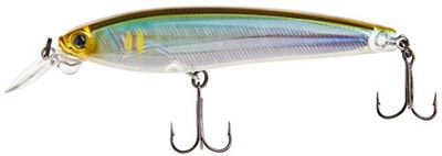 Yo-Zuri Duel 3DS Minnow 100 mm Suspend Lure f1157-hhay (8779)