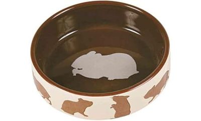 Trixie TX-60733 - Ciotola in Ceramica per Rabbit 250 ml, 11 cm, Multicolore, il colore può variare