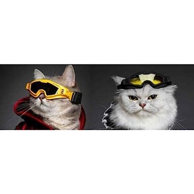 Croci Gafas de Esquí para Mascotashorizon Yellow S 1 Unidad 30 g
