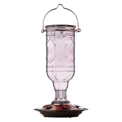 More Birds Mangeoire en Verre pour Colibri en améthyste pour l'extérieur, 5 Stations d'alimentation, 590 g