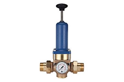 RIEGLER 101331-100.115 - Regulador de presión para agua potable, sin DVGW, R 1 1/2, 1,5-12 bar, 1 unidad
