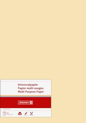 Baier schneider &papier, de papier multifonctions a4 80 g/m ² 50 feuilles (chamois)