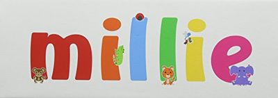 Feel Good Art Millie Gallery - Caja de lona con panel frontal sólido (15 x 42 x 4 cm, pequeña)