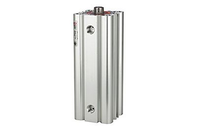 RIEGLER 106044-7.DMI.100080 kompakt cylinder LINER, dubbel effekt, IG Kol.-Ø 100, Hub 80, G 1/8, 1 st.