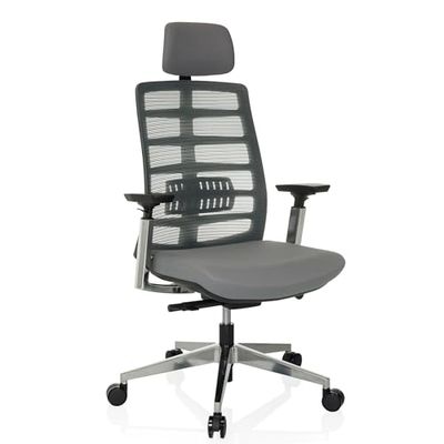 hjh OFFICE Chaise de Bureau Ergonomique SPINIO Elite Appui-tête et Appui-lordose réglables, Chaise pivotante ménageant Le Dos, Tissu/Filet Gris