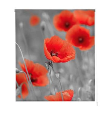 Estoralis Flores e plantas | Estore de rolo design moderno, transparente, estampado digital, modelo F-1538, 110 x 180 cm (largura/altura), tamanho do tecido 107 x 175 cm, estantes para janelas e