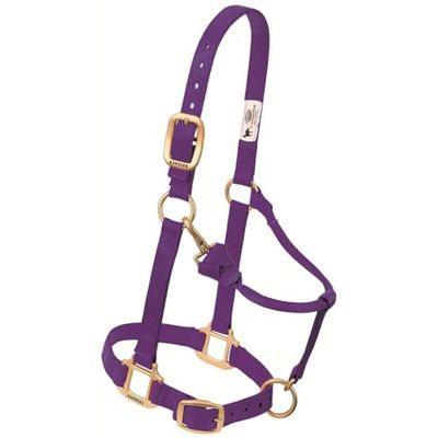 Weaver Leather - Cavezza Regolabile in Nylon, Colore Viola, per Arabo/Cavallino.