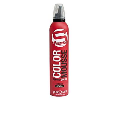 Espuma Color Ceniza 300 Ml.