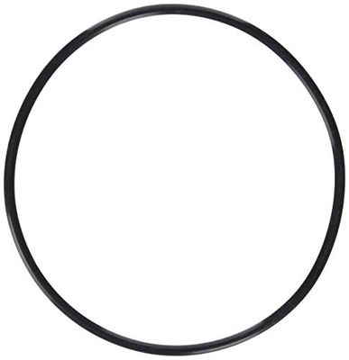 O-ring Olympus POL-054 per PT-054