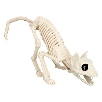 Boland 72413 - Scheletro per gatti, misura 51 cm, bocca mobile, gatto, gatto, finta plastica, decorazione per Halloween, Carnevale o festa a tema