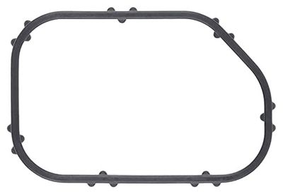 MISSLÅLIG GASKET