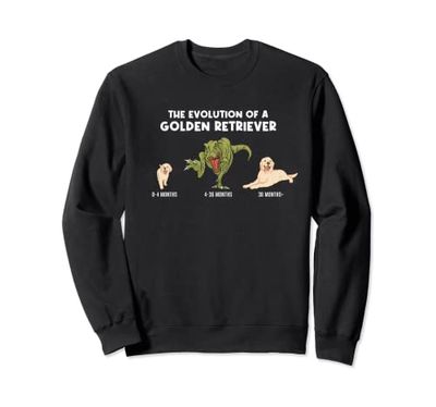 Golden Retriever Dog Mom The Evolution Of A Golden Retriever Sudadera