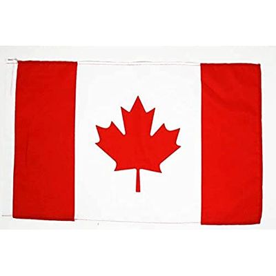 AZ FLAG - Drapeau Canada - 45x30 cm - Pavillon Canadien 100% Polyester avec Fourreau pour Hampe - 20g