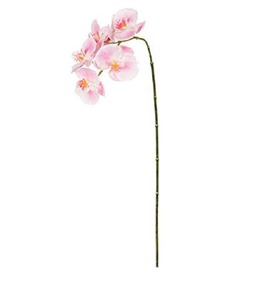 EUROCINSA Ref.57823C21 Orchidee PHALAENOPSIS roze, doos met 12 stuks, 86 cm