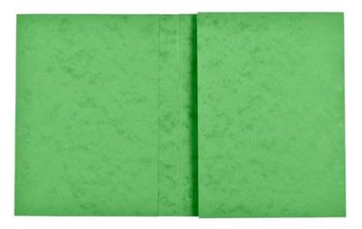 Exacompta - Ref 35123E - Box of 80 notebooks 24 x 32 cm in Genuine Glossy Card with Labelling Field - Ideal for School, College, Universities - Lime Wood Colour