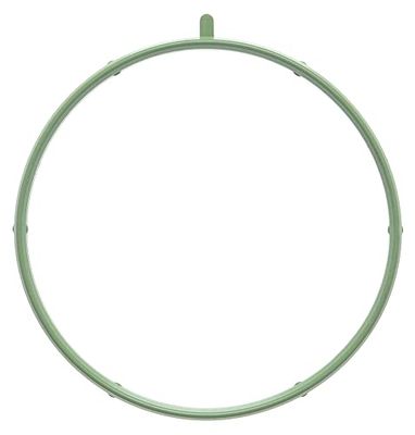 MISSLÅLIG GASKET