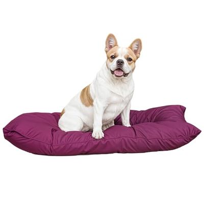 Italian Bed Linen Maxi Coussin Elegant pour Chien, en Microfibre, 60x100cm, Fuchsia