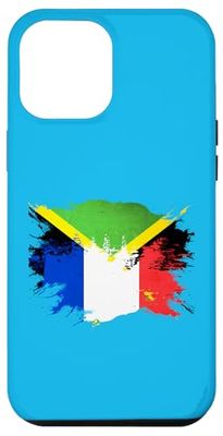 Bandera de patrimonio mixto jamaicano y francés Carcasa para iPhone 12 Pro Max