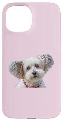 Chemise de race de chien maltais mignon Coque pour iPhone 15