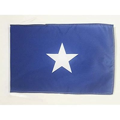 AZ FLAG Drapeau République de Floride-Occidentale 45x30cm - PAVILLON Bonnie Blue 30 x 45 cm Haute qualité