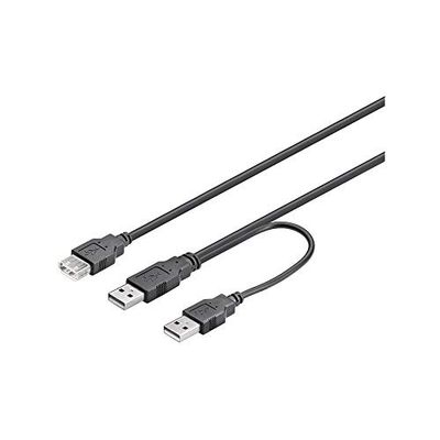 Wentronic Câble USB 2 fiches A / Prise A 0,3m