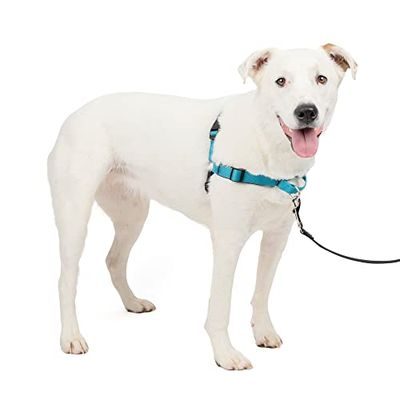PetSafe Cães arnês de luxo Easy Walk, médio / grande, azul oceano, nylon, M/L