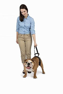PetSafe Solvit CareLift Rear-only Dog Lifting Harness, Black